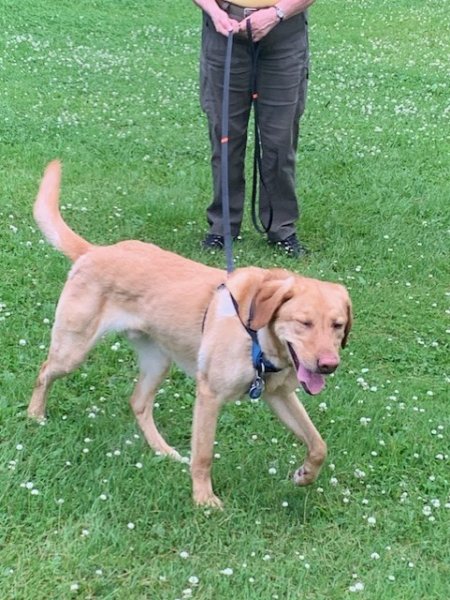 Aren't I Special.jpg