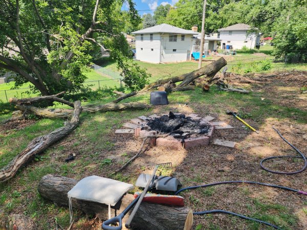 Locust remaining 1.jpg