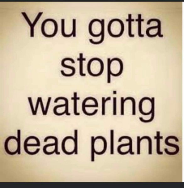 FB_IMG_1690196249044.jpg