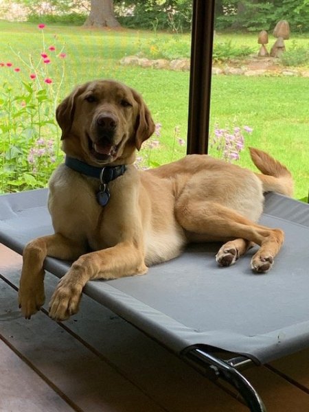 One Happy Camper.jpg