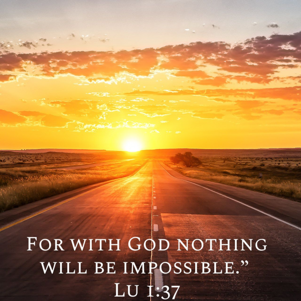 1690451722484.png