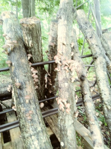 0812230910_Film2.jpg