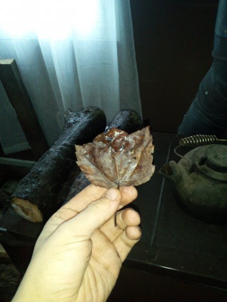 2014-12-03 13.53.42.jpg