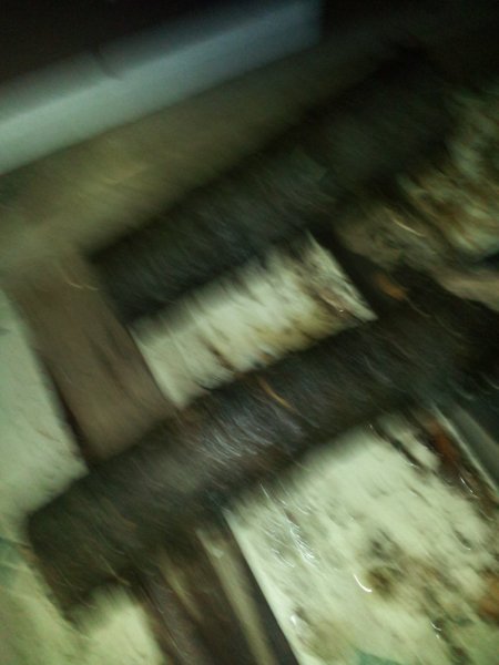 2014-12-03 13.53.05.jpg