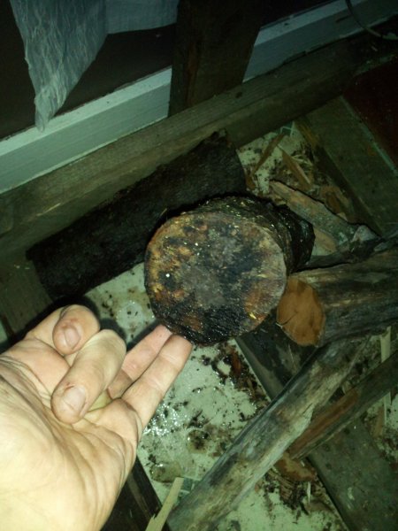 2014-12-03 13.53.16.jpg