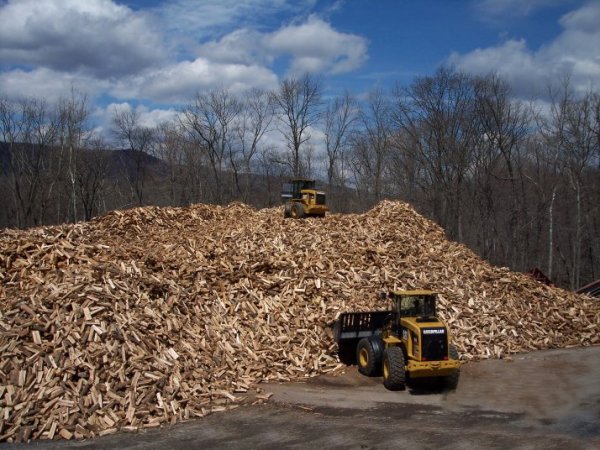 bulkwood3a.jpg