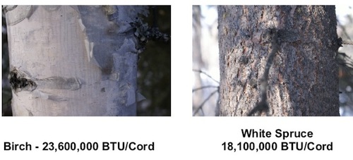 brch:sprce btu.jpg