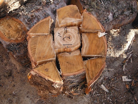 DSCF3923.JPG