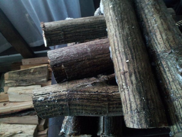 2014-12-05 10.49.35.jpg