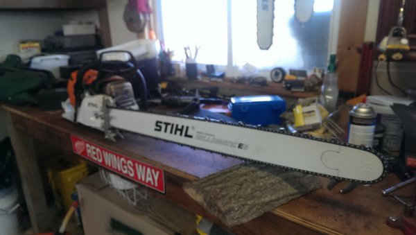 IMAG0693.jpg