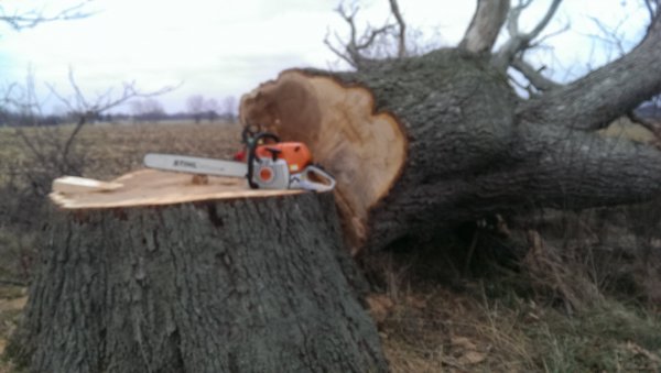 IMAG0686.jpg