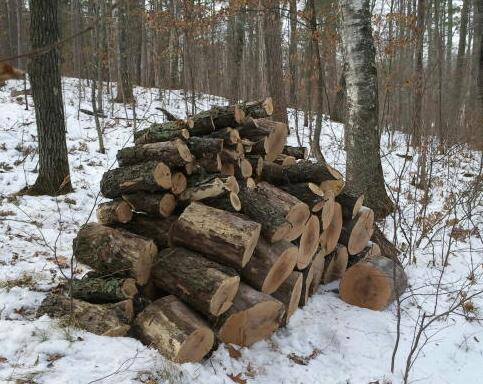 2014-12-06 14.40.47-1.jpg