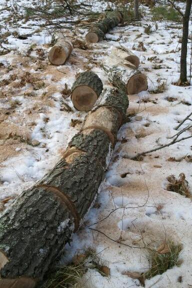 2014-12-06 14.37.24-1.jpg