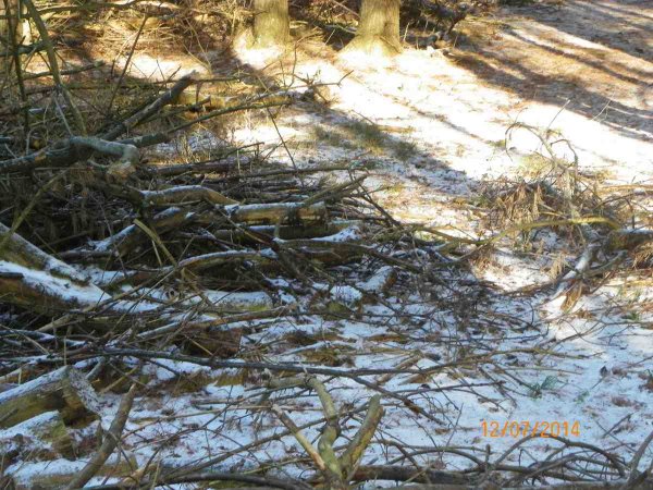 101_0484.JPG