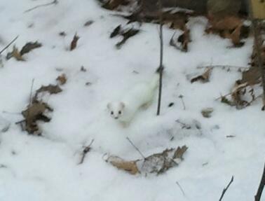 2014-12-07 14.25.07-1.jpg