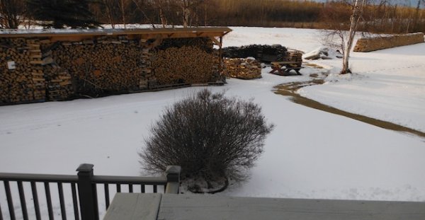 DSCF4438.JPG