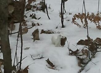 2014-12-07 14.23.38-1.jpg