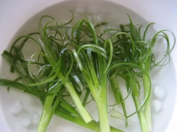 frikken sweet gum.jpg