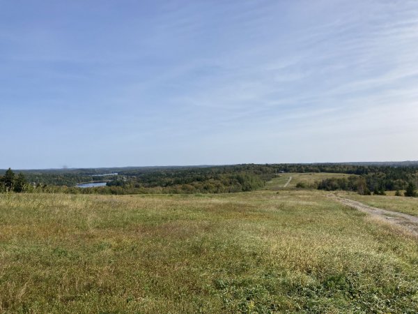 IMG_2772.jpeg