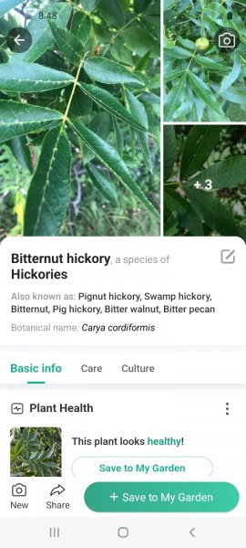 Screenshot_20231002-204859_PictureThis.jpg
