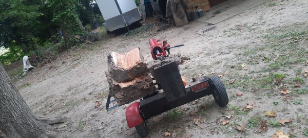 20231004_181409.jpg