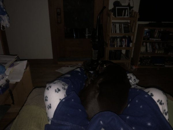 IMG_1115.jpeg
