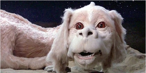 FALCOR.jpg
