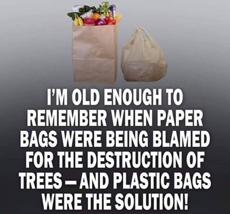 paper bags plastic bags.jpg