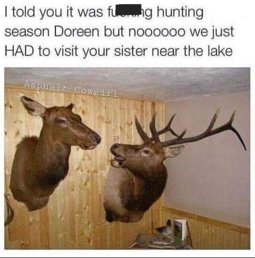 hunting.jpg