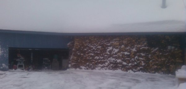 121010 dug out and ready.jpg