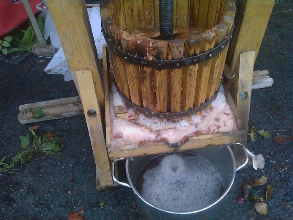 091510 Apple press.jpg