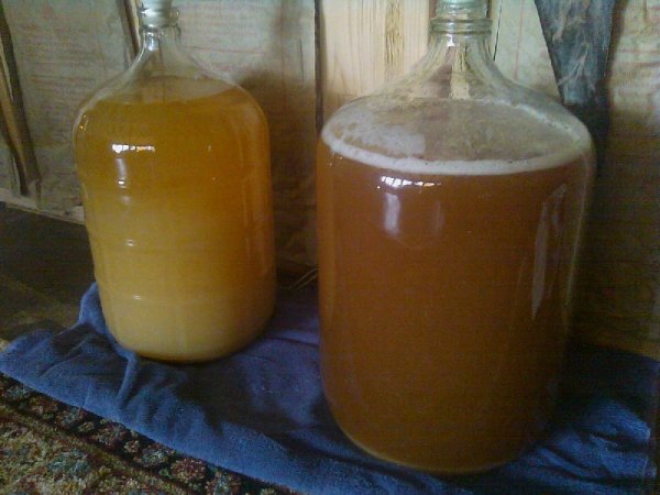 092610 apple comparison.jpg