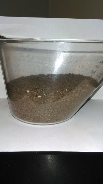 IMAG0227.jpg