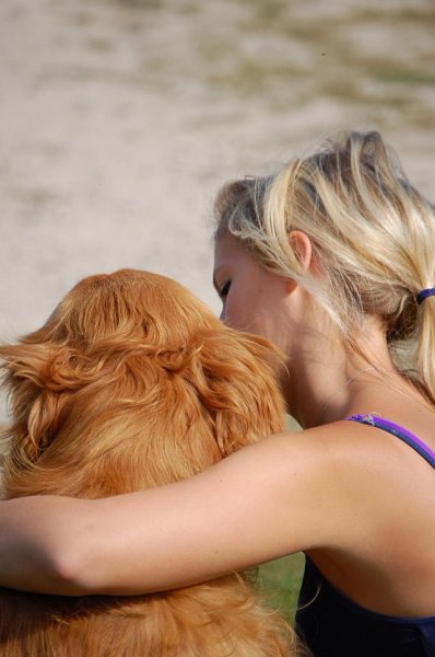odie 12-14-14.jpg