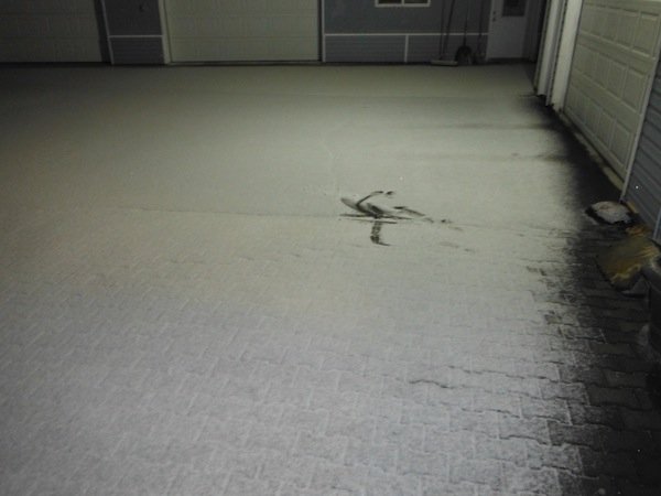 DSCF4543.JPG