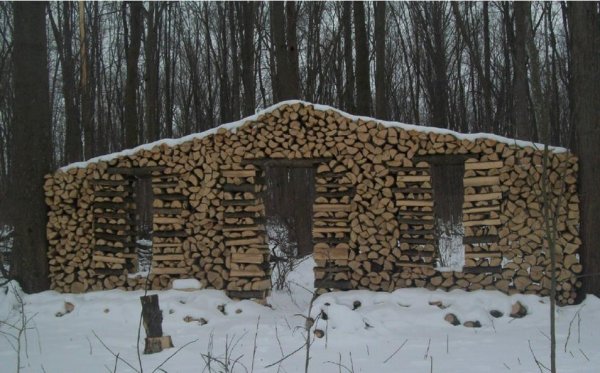 Neat wood pile.jpg
