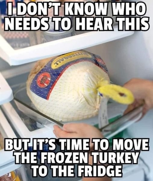 frozen turkey.jpg