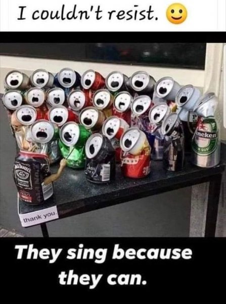 can sing.jpg