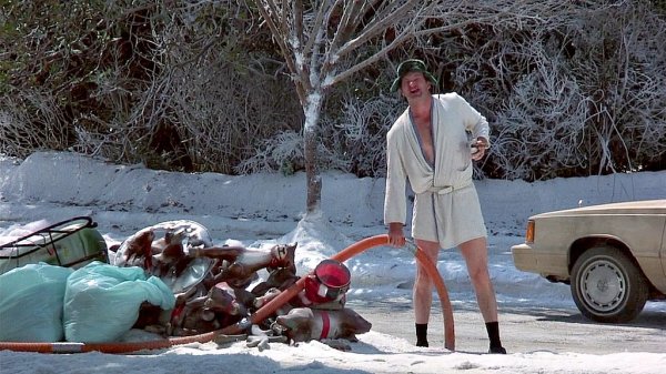 Cousin-Eddie-1.jpg