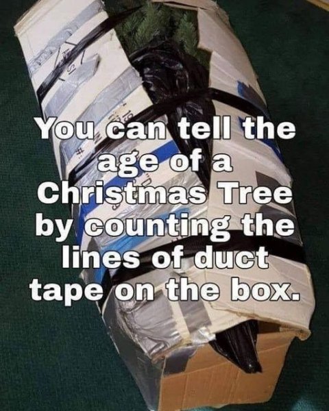 old xmas trees.jpg