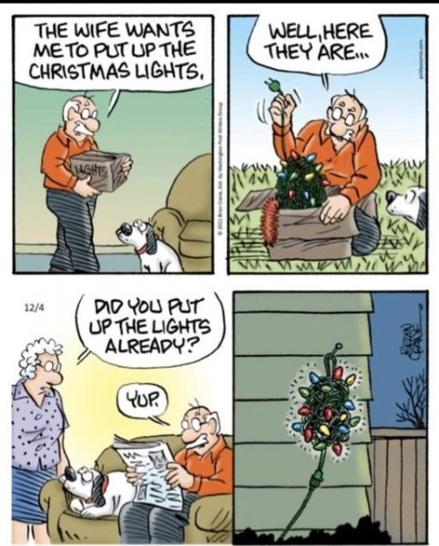 xmas lights.jpg