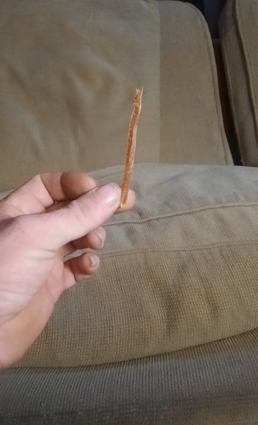 20231211_083404.jpg