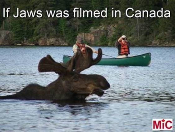 jaws in canada.jpg