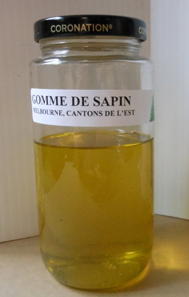 gomme de sapin, 22 août 2015 004.jpg