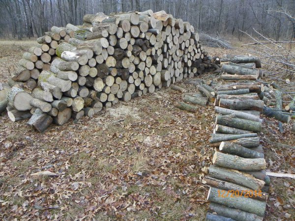 Wood 12-20-2014c.JPG