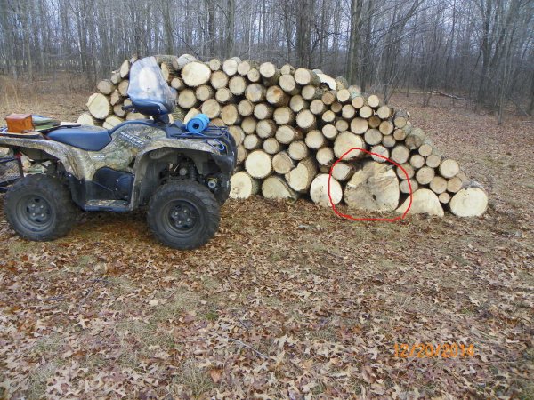 Wood 12-20-2014d.JPG