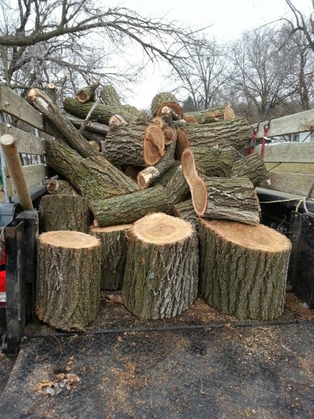Elm load 1 1.jpg