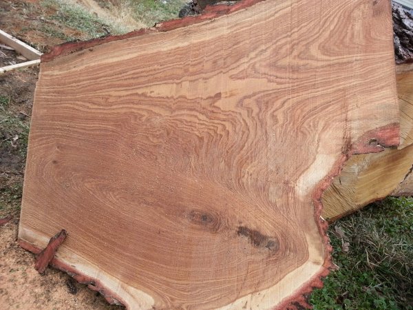 Oak slab 1.jpg