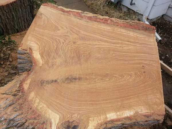 Oak slab 2.jpg