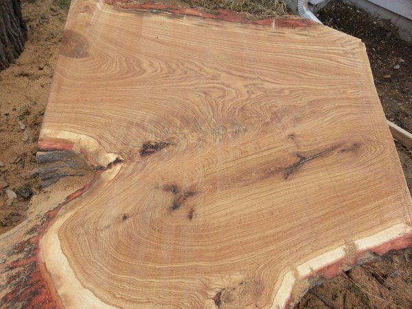 Oak slab 4.jpg